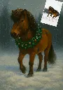 Tierbild_Pferd.webp