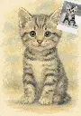 Tierbild_Katze.webp
